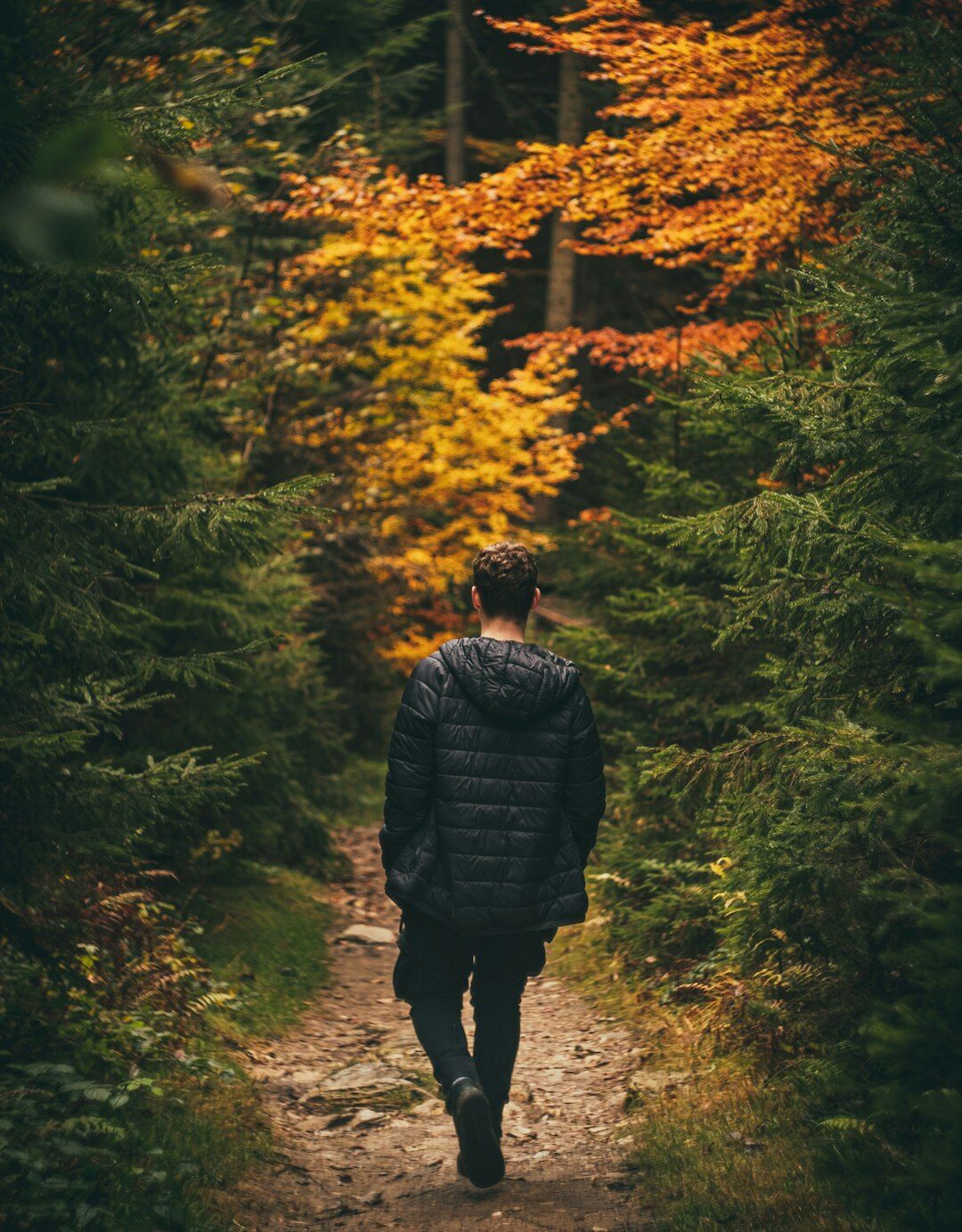 person walking in nature